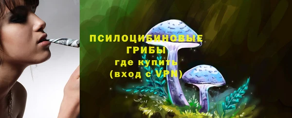 jwh Богородск