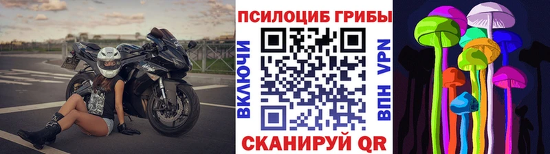 Псилоцибиновые грибы прущие грибы  Лодейное Поле 