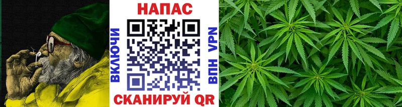 Канабис марихуана  Лодейное Поле 